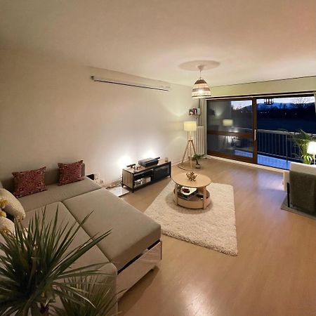 Appartement Tres Cosy A 5 Min Aeroport Geneve Ferney-Voltaire Exterior photo
