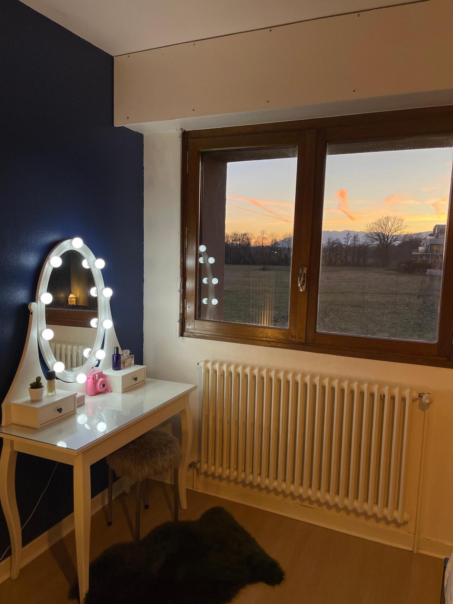 Appartement Tres Cosy A 5 Min Aeroport Geneve Ferney-Voltaire Exterior photo